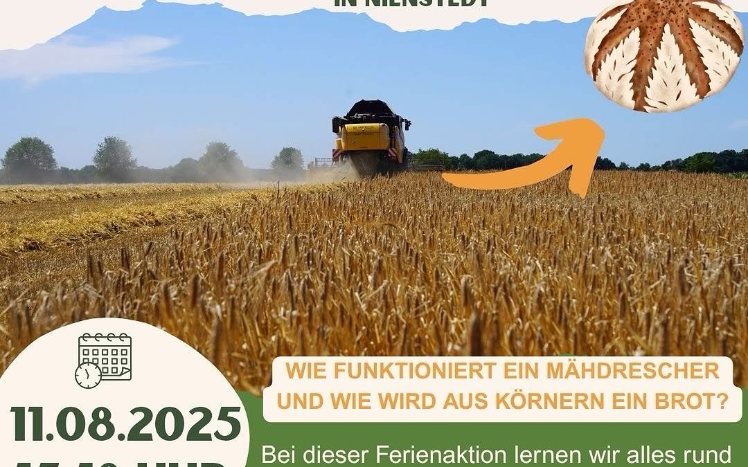 🌾 Ferienaktion auf dem Hof Diephaus- Borchers in Nienstedt! 🌾 Vom Korn zum Brot – Kinder von 6 bis 12 Jahren erleben h…
