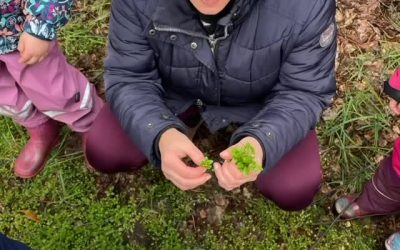 Wiesendetektive 🌱🔍🌿 Was für eine wunderbare Ferienaktion! Gemeinsam haben wir die faszinierende Welt der Wildkräuter …