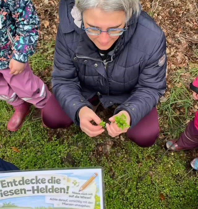 Wiesendetektive 🌱🔍🌿 Was für eine wunderbare Ferienaktion! Gemeinsam haben wir die faszinierende Welt der Wildkräuter …