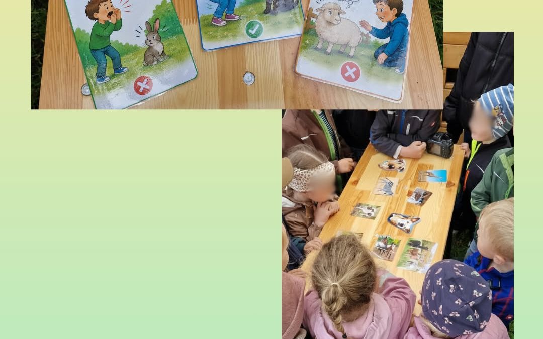 🌾🐑 Ein unvergesslicher Erlebnistag auf dem Bauernhof! 🐓🥕 Im Rahmen unserer Hof-Ackerdemie durften unsere Kinder eine…