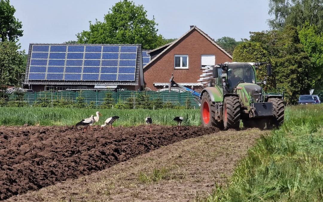 Bild Nr. 3 unserer Auswahl des Fotowettbewerbs „Land(wirtschaft) im Frühling“ 💐🚜 . Fotografin Annemarie hat in ihrem B…