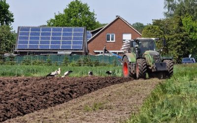 Bild Nr. 3 unserer Auswahl des Fotowettbewerbs „Land(wirtschaft) im Frühling“ 💐🚜 . Fotografin Annemarie hat in ihrem B…