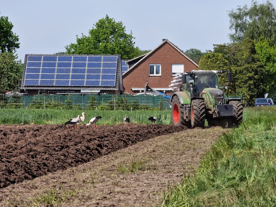 Bild Nr. 3 unserer Auswahl des Fotowettbewerbs „Land(wirtschaft) im Frühling“ 💐🚜 . Fotografin Annemarie hat in ihrem B…