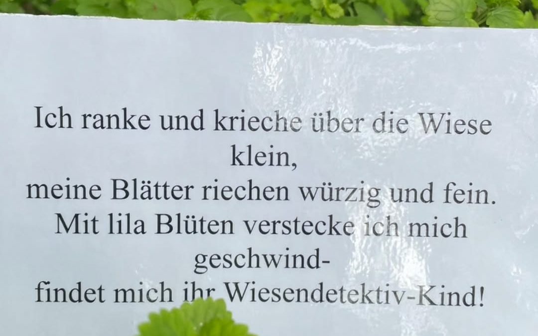 Die Wiesendetektive waren unterwegs! 🕵️🌿 In den vergangenen drei Wochen durfte ich vier tolle Kindergartengruppen bei …