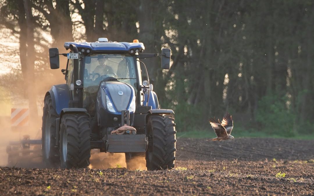 Greifvogel und Traktor im perfekten Moment festgehalten, das bietet unser Bild Nr. 6 von umseremFotowettbewerb „Land(wir…