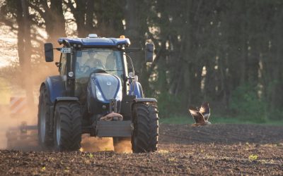 Greifvogel und Traktor im perfekten Moment festgehalten, das bietet unser Bild Nr. 6 von umseremFotowettbewerb „Land(wir…