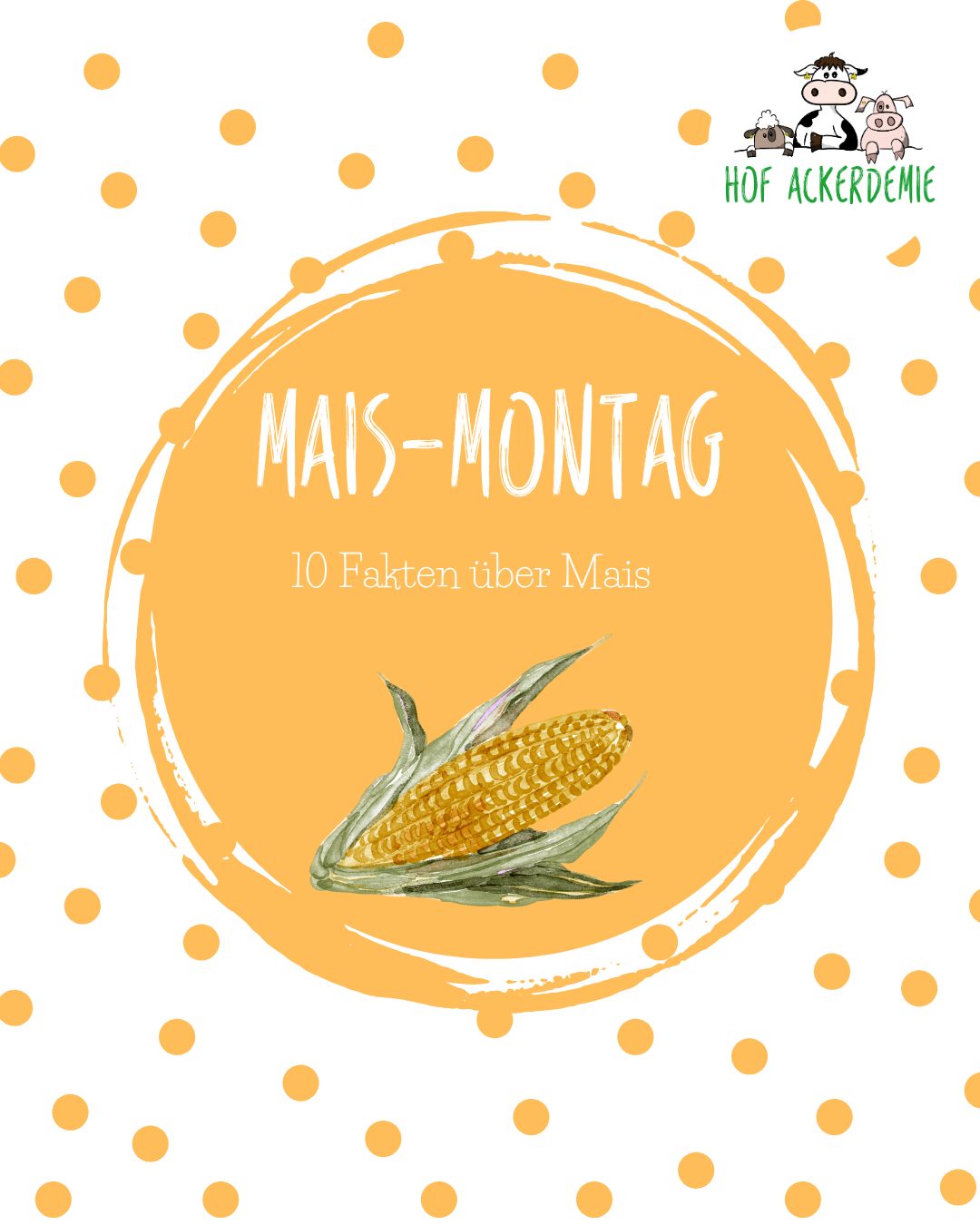 🌽 MAIS-WOCHE!🌽 Ab heute dreht sich bei uns alles um die gelbe Powerpflanze! 💛 Mais kennt eigentlich jeder, aber wusst…