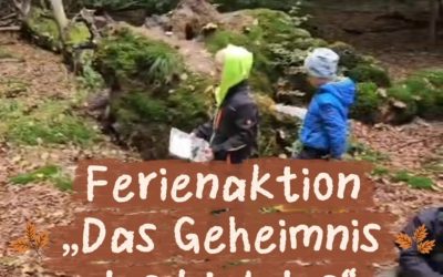 🌳🔎Ferienaktion: Das Geheimnis des Waldes 🍂🦔 Was raschelt da im Unterholz? Welche Tiere leben eigentlich im Wald? Und…