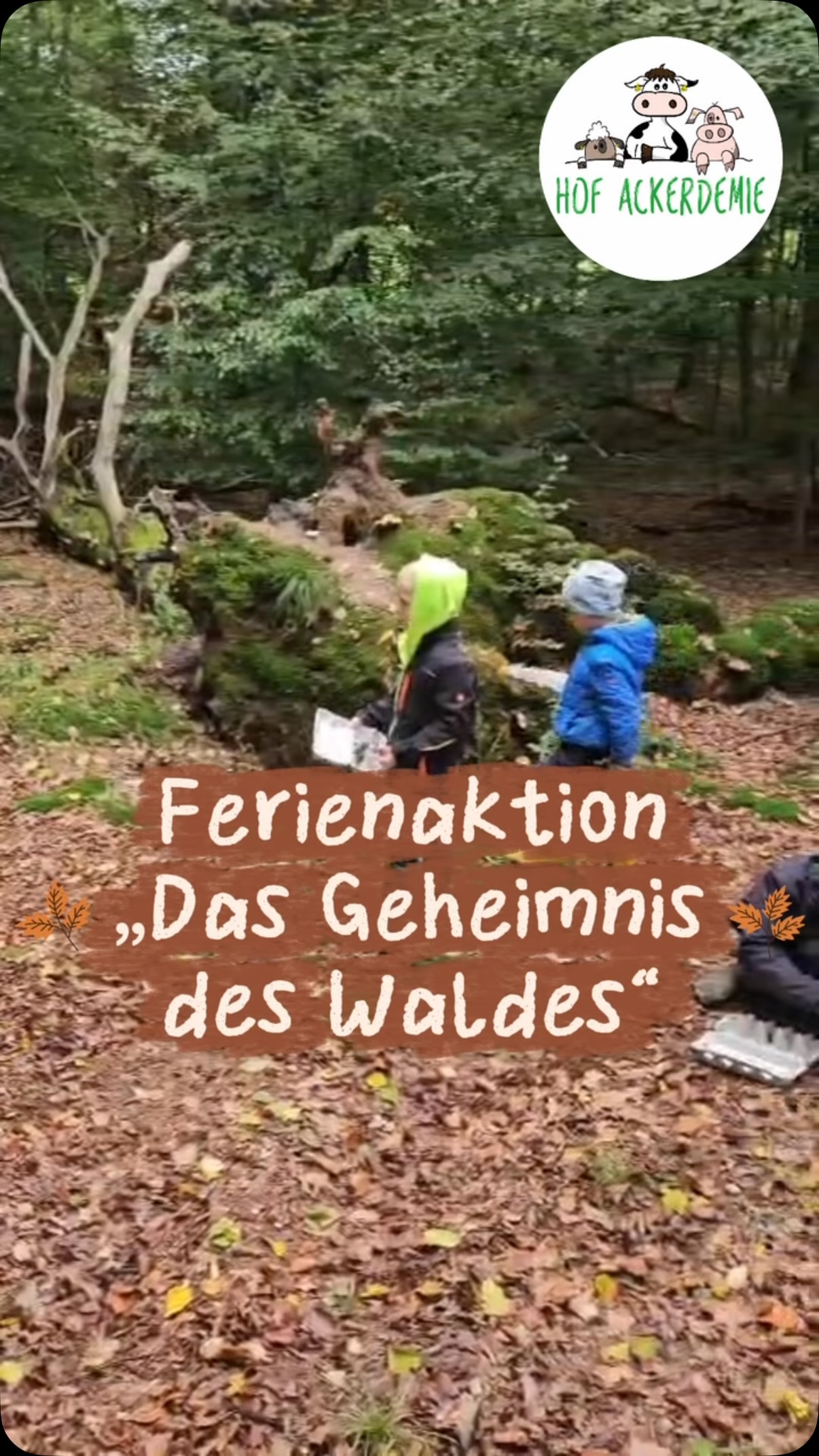 🌳🔎Ferienaktion: Das Geheimnis des Waldes 🍂🦔 Was raschelt da im Unterholz? Welche Tiere leben eigentlich im Wald? Und…